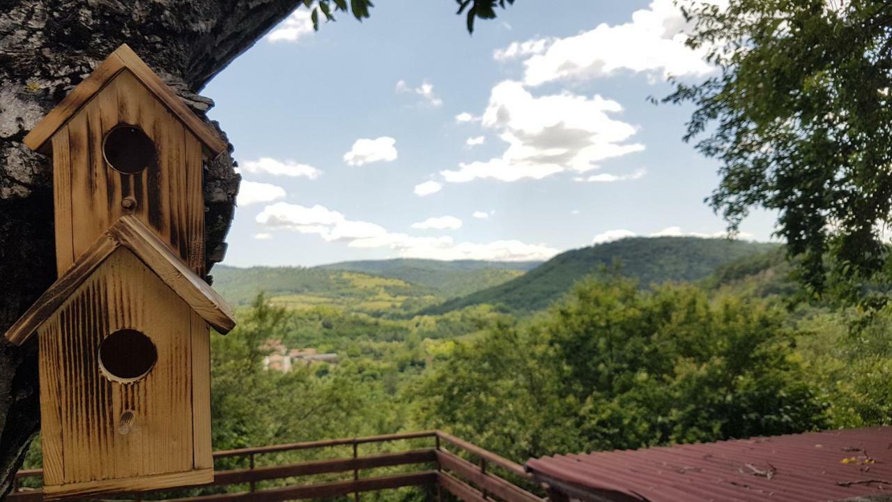 Rosarium Residence Guest House Дряново Екстериор снимка